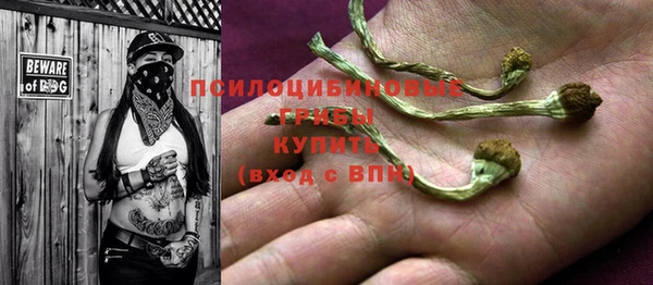 бошки Абаза