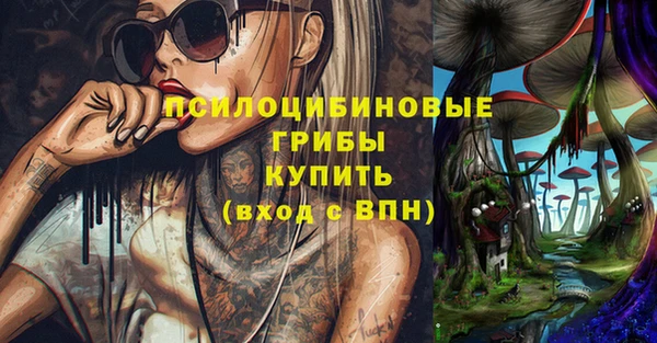 бошки Абаза