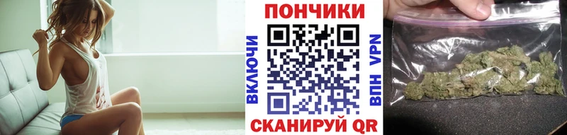 mega tor  купить  сайты  Алагир  МАРИХУАНА конопля 
